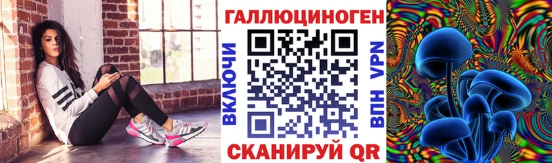 гидра ссылки  Дмитровск  Псилоцибиновые грибы Psilocybine cubensis 